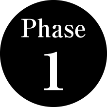 Phase 1